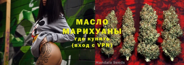гидра Снежногорск