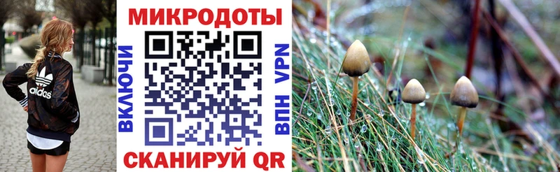 Псилоцибиновые грибы MAGIC MUSHROOMS  Абаза 